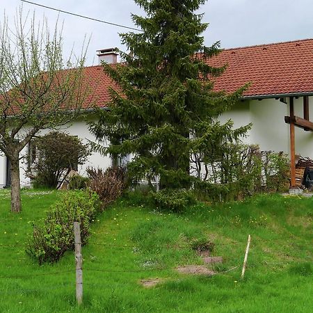 Cosy Apartment In Allg U With Garden Ой-Миттельберг Экстерьер фото